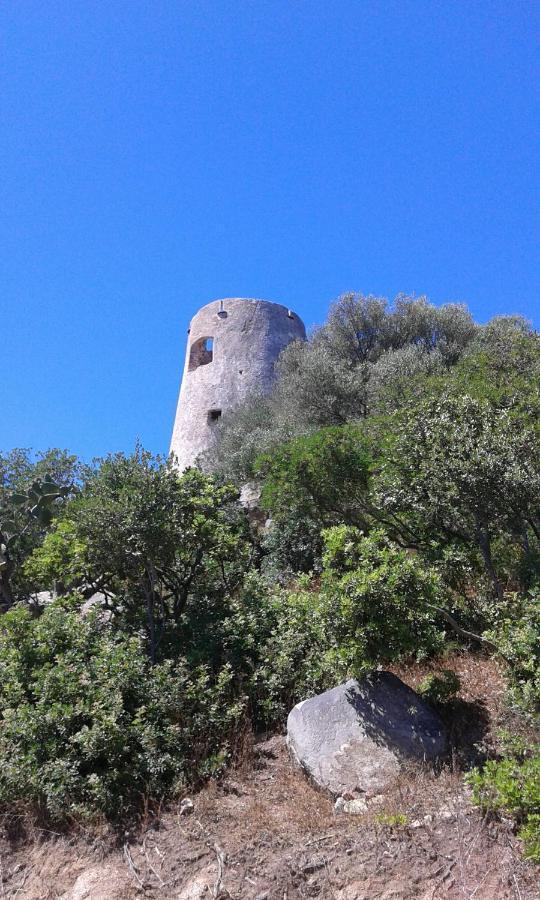 Il Sughereto Àrbatax Exterior foto