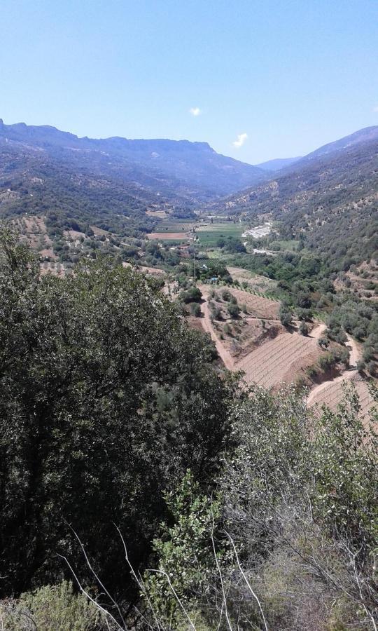 Il Sughereto Àrbatax Exterior foto